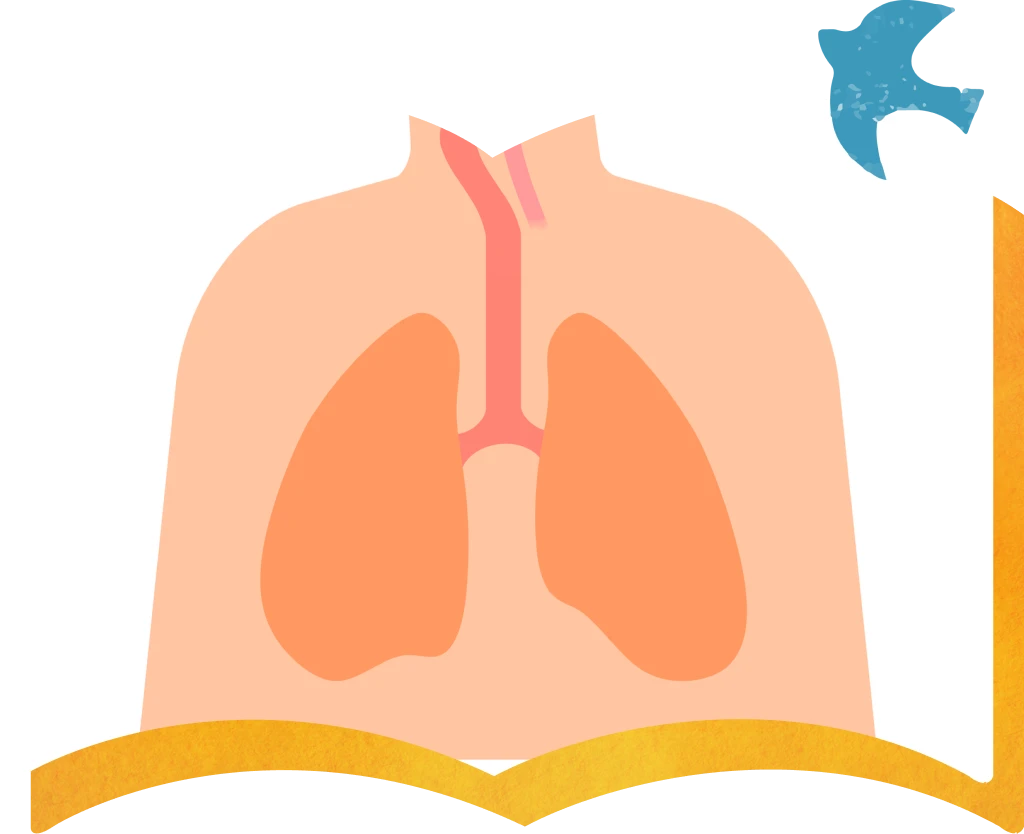 気管支ぜんそくの治療について